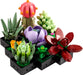 Succulents - Botanicals 