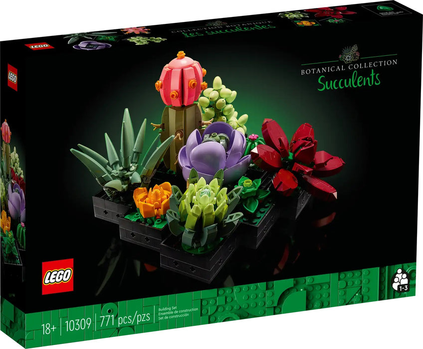 Succulents - Botanicals (10309) 18+