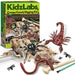4M: Creepy Crawly Digging Kit