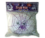 Small White Spider Webs