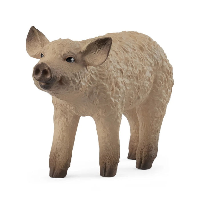 Farm World - Mangalica Piglet (14893)