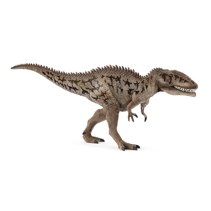 Dinosaurs - Carcharodontosaurus 