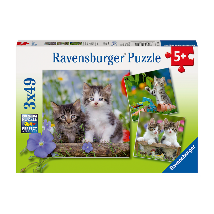 R - Cuddly Kittens - 3x49pc (08046)