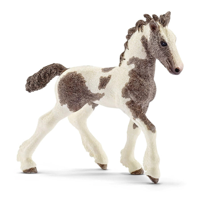 Farm World - Tinker Foal (13774)