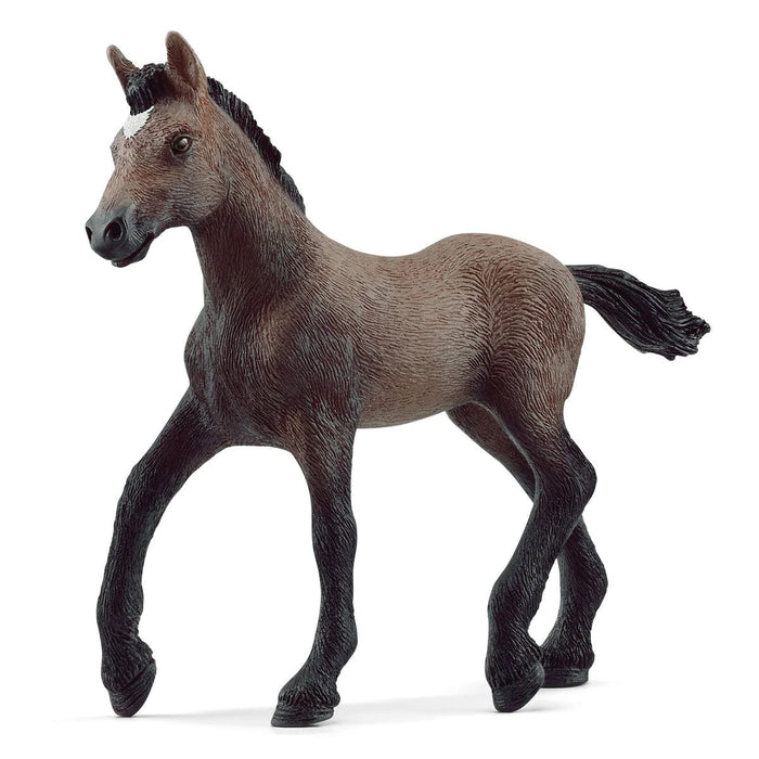 Horse Club - Paso Peruano Foal (13954)
