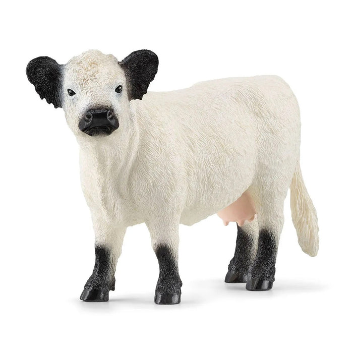 Farm World - Galloway Cattle 