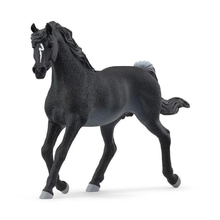 Horse Club - Rabicano Arabian Stallion (13981)