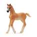 Horse Club - Arab Foal 