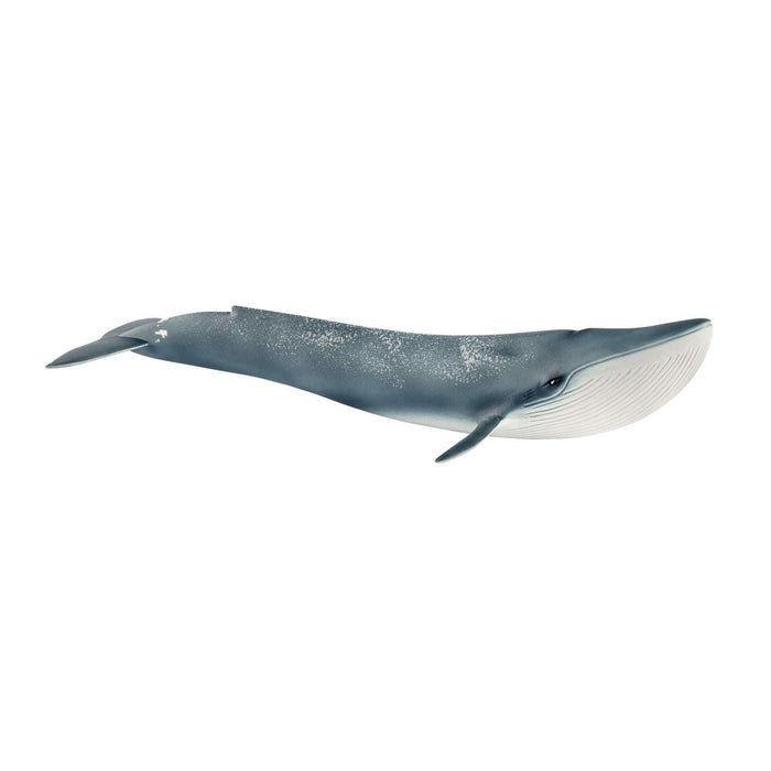 Wild Life - Blue Whale (14806)