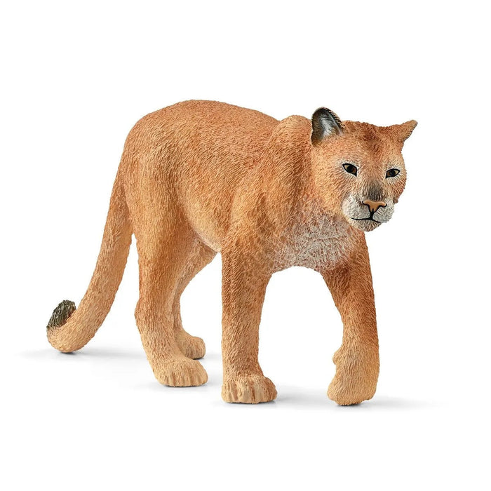Wild Life - Cougar (14853)