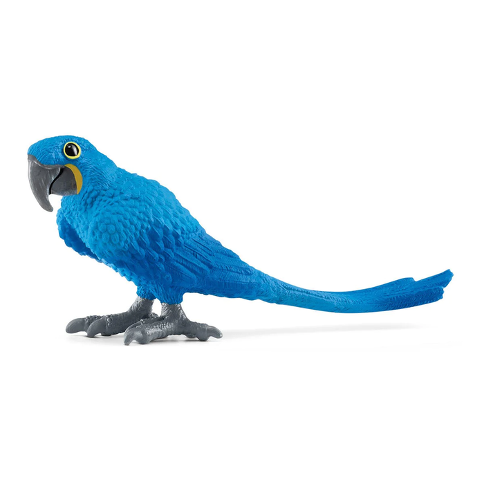 Wild Life - Hyazinth Macaw  (14859)