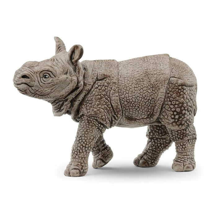 Wild Life - Indian Rhinoceros Baby (14860)