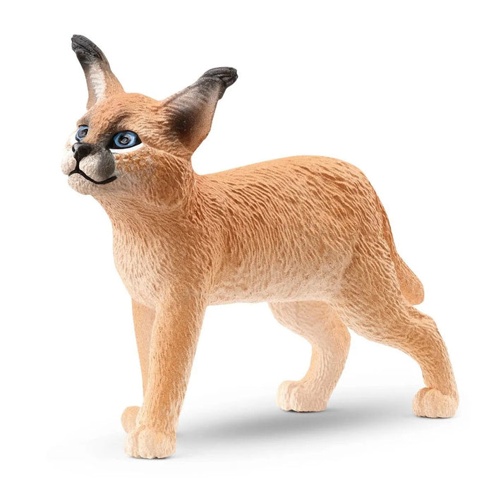 Wild Life - Caracal Cub (14868)