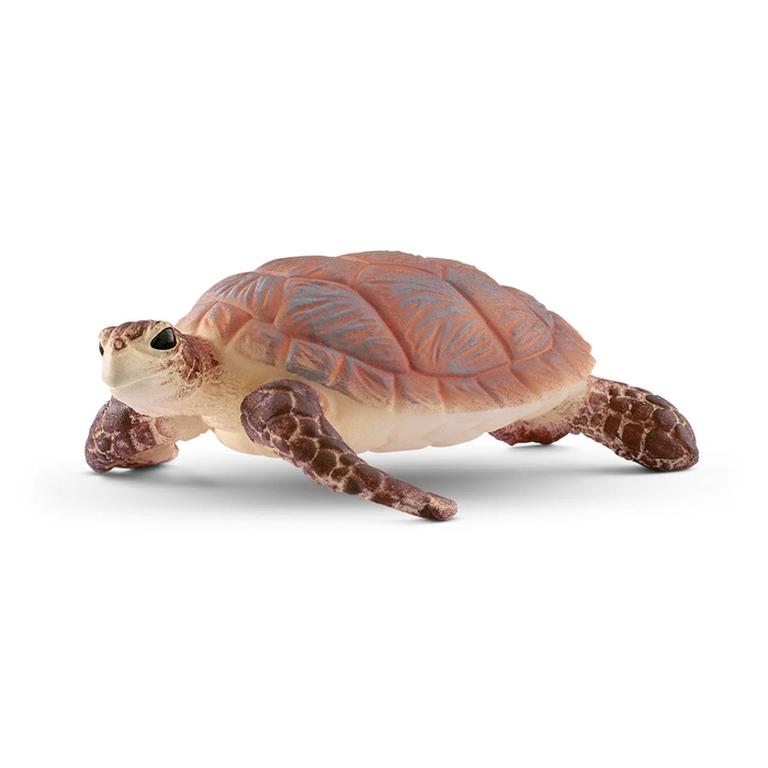 Wild Life - Hawskbill sea turtle (14876)