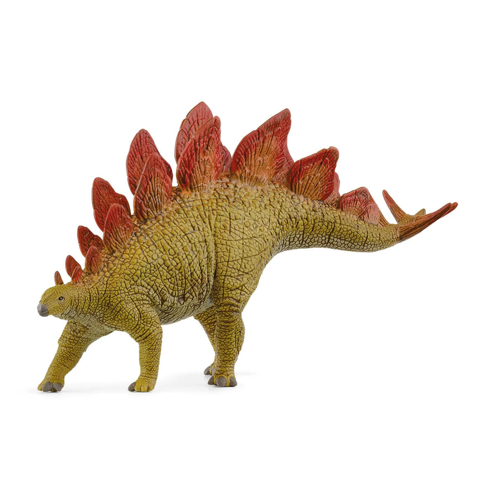 Dinosaurs - Stegosaurus 