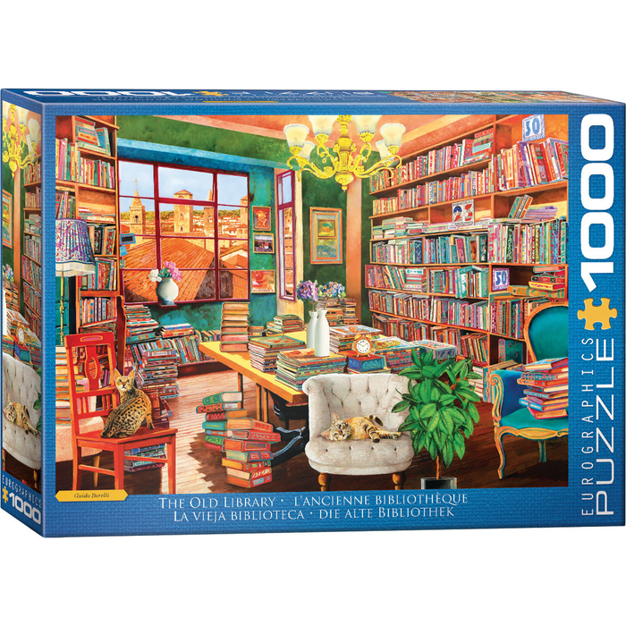 E - The Old Library by Guido Boerlli - 1000pc (6000-5888)