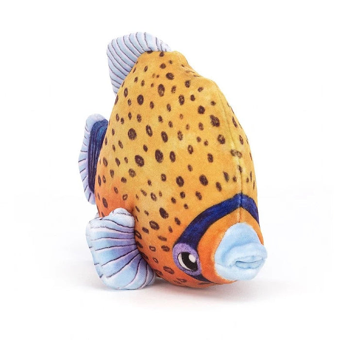 Fishiful Orange (FISH3O)