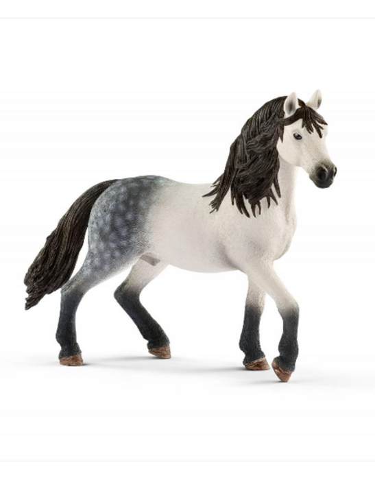 Horse Club - Andalusian Stallion (13821)