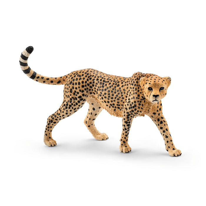 Wild Life - Cheetah, Female (14746)