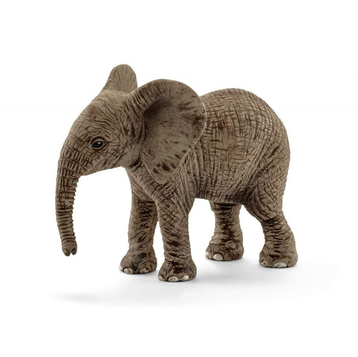 Wild Life - African Elephant Calf (14763)