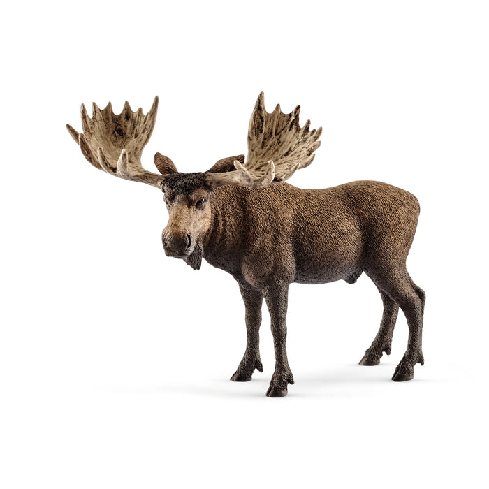 Wild Life - Moose Bull (14781)