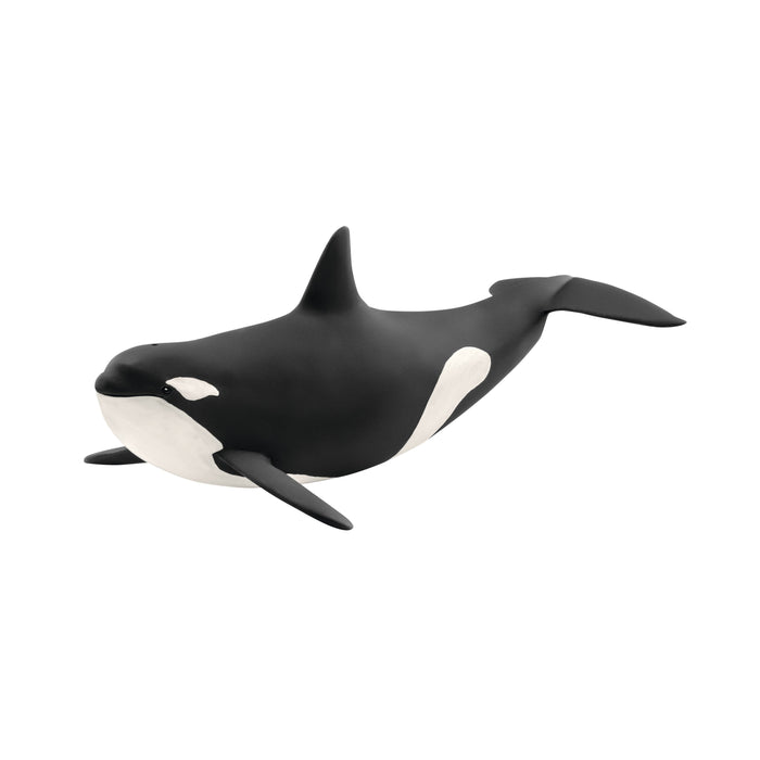 Wild Life - Killer Whale 