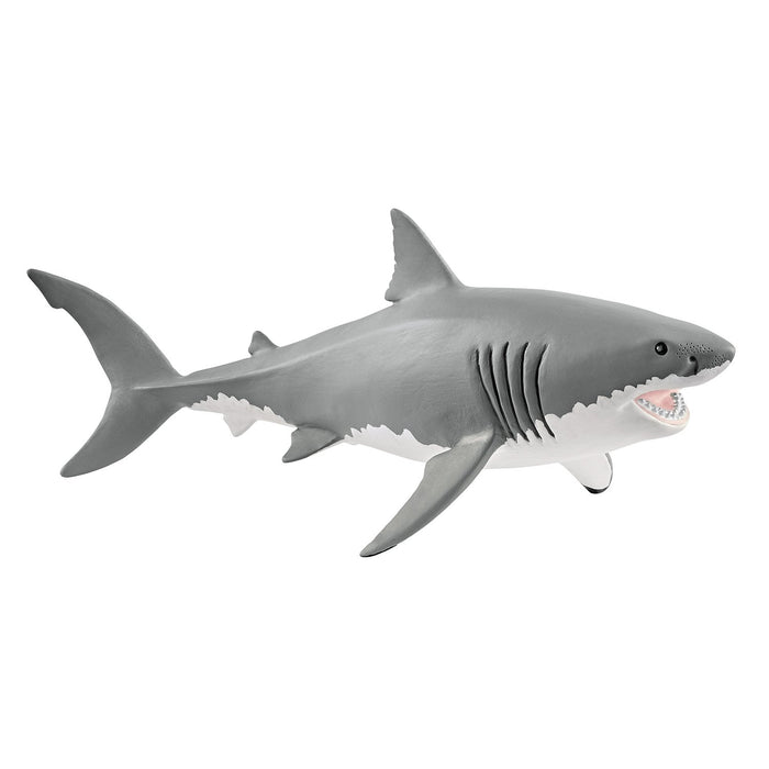 Wild Life - Great White Shark 