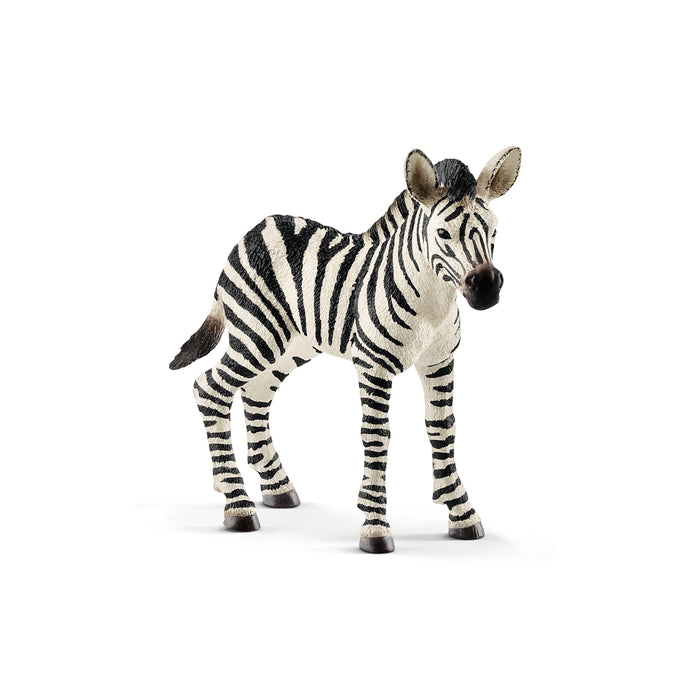 Wild Life - Zebra Foal (14811)