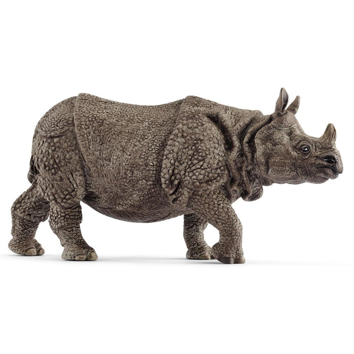 Wild Life - Indian Rhinoceros (14816)