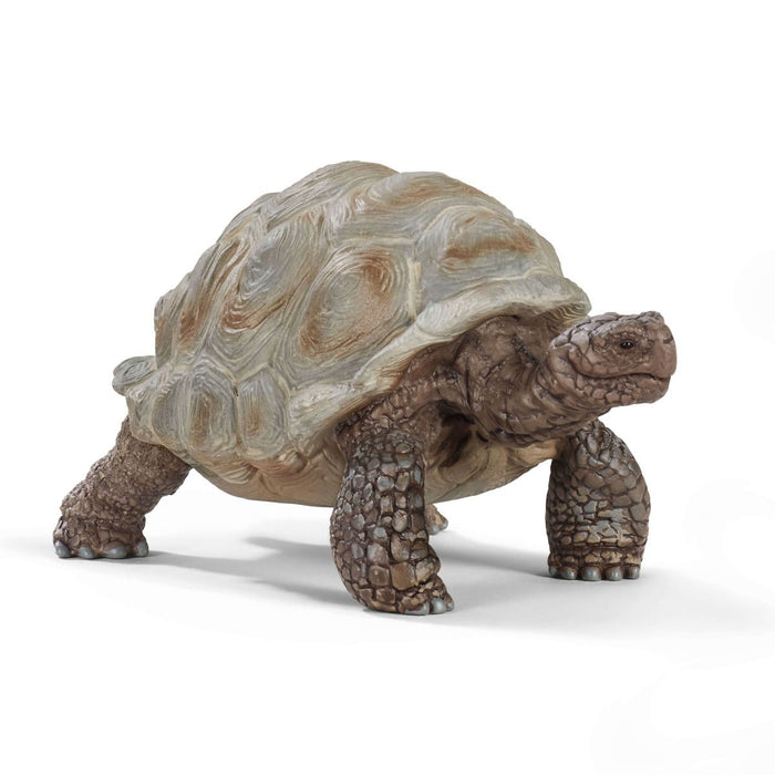 Wild Life - Giant Tortoise (14824)