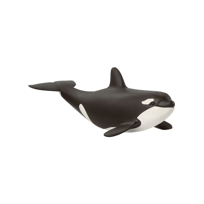 Wild Life - Baby Orca (14836)
