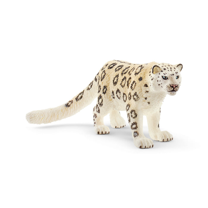 Wild Life - Snow Leopard (14838)