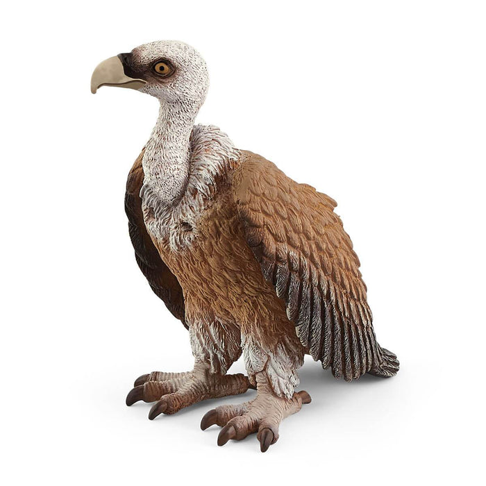 Wild Life - Vulture (14847)