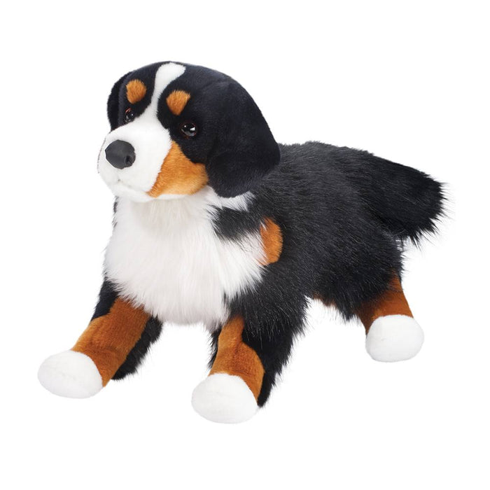 Alps Bernese Mountain Dog, Floppy 