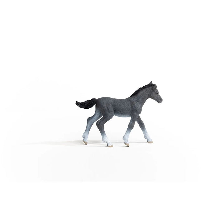 Horse Club - Trakehner Foal (13944)