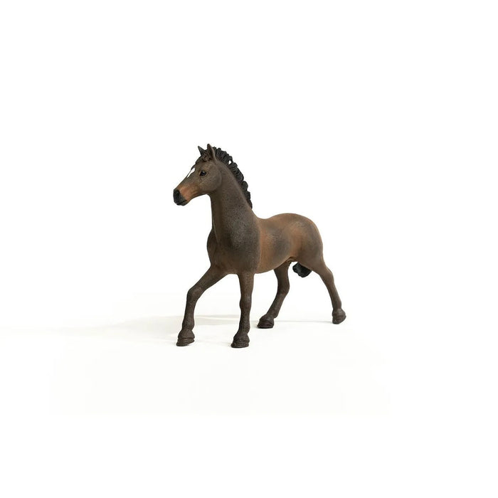 Horse Club - Oldenburg Stallion (13946)