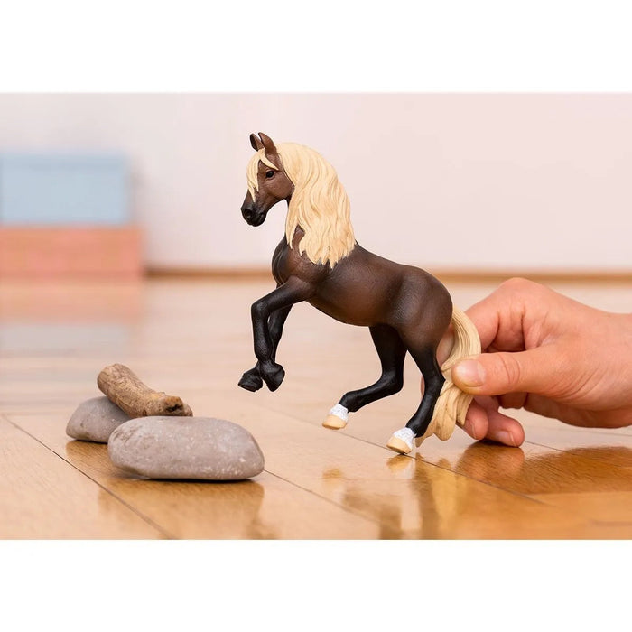 Horse Club - Paso Peruano Stallion (13952)