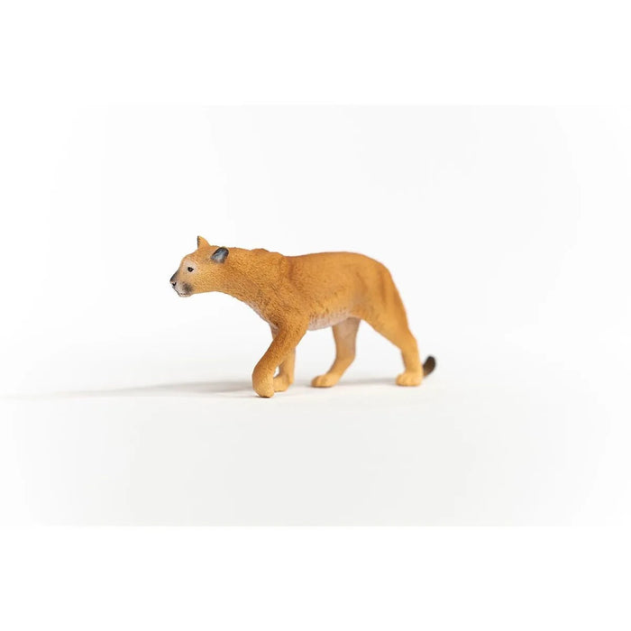 Wild Life - Cougar (14853)