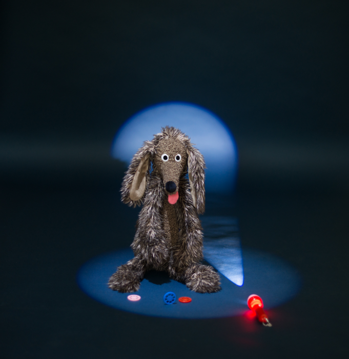 L'ecole des loisirs: Chien Pourri - Dumpster Dog 36cm - Moulin Roty