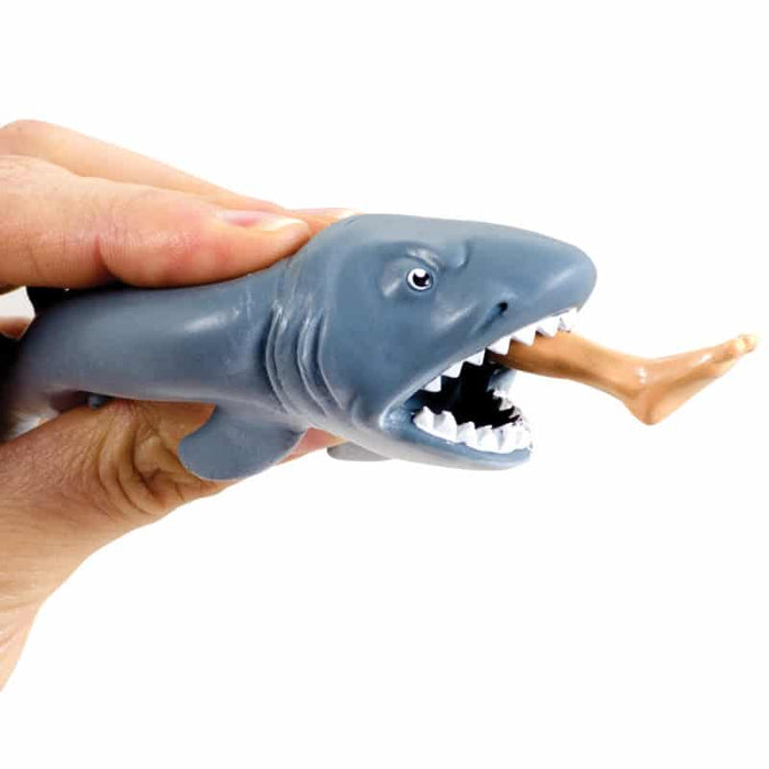 Chomp the Shark  (CHOMP)