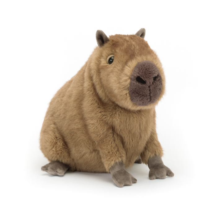 Clyde Capybara (CLY6C)