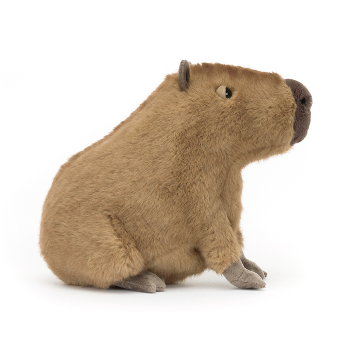 Clyde Capybara (CLY6C)