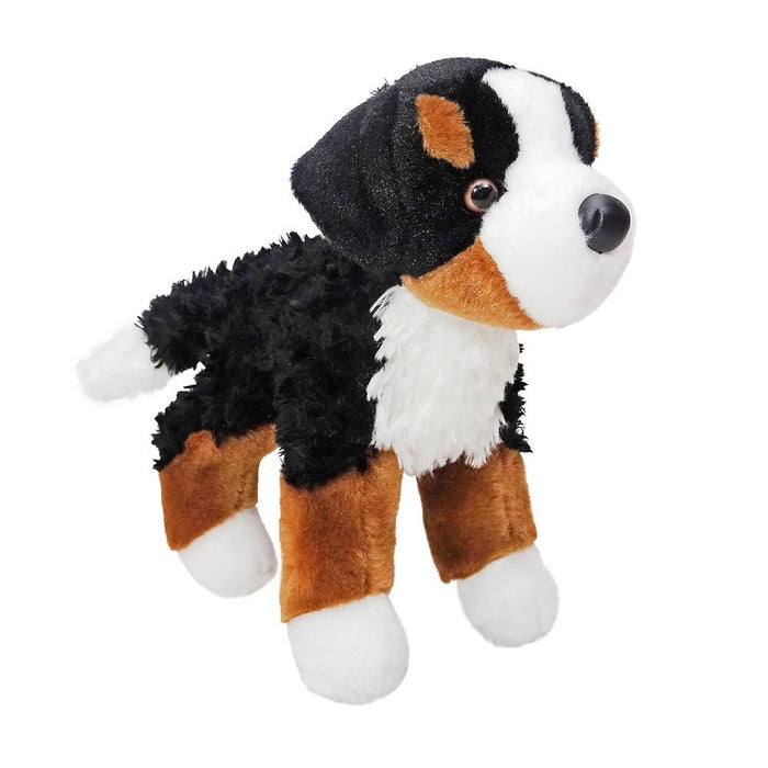 Miranda Bernese Mountain Dog 