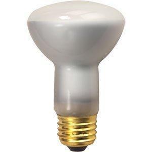 Lava Lamp: 100w Light Bulb (27 in. Lamps)