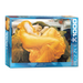 Flaming June by Frederic Lord Leighton - 1000pc 
