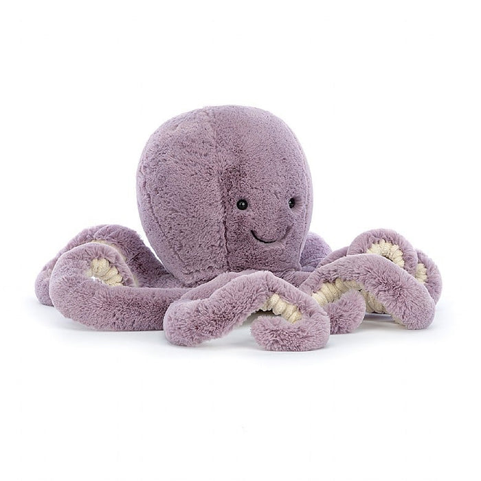 Maya Octopus Baby (AL4OC)