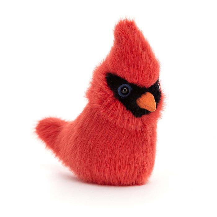 Birdling Cardinal (BIR6C)