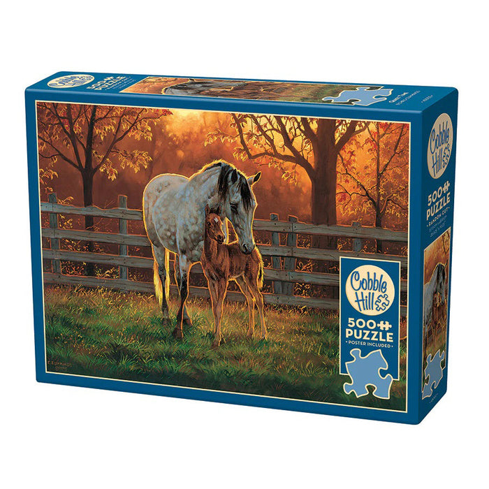Quiet Time - 500pc 