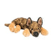 Mya German Shepherd 