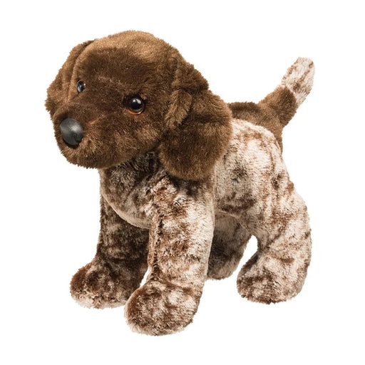 Ivan German Pointer 